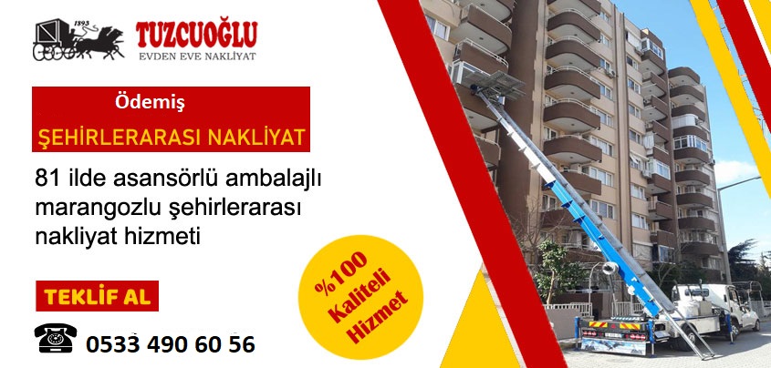 Ödemiş Şehirler Arası Nakliyat